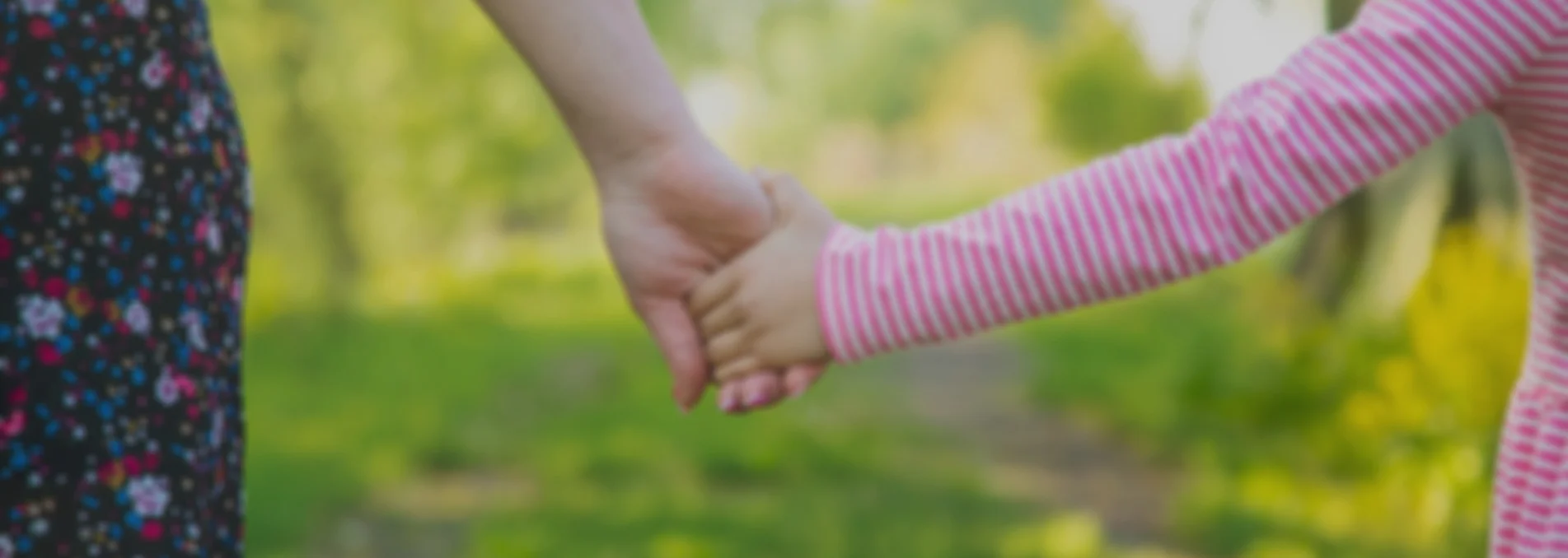 slider/s2.webp slider/s2.webp